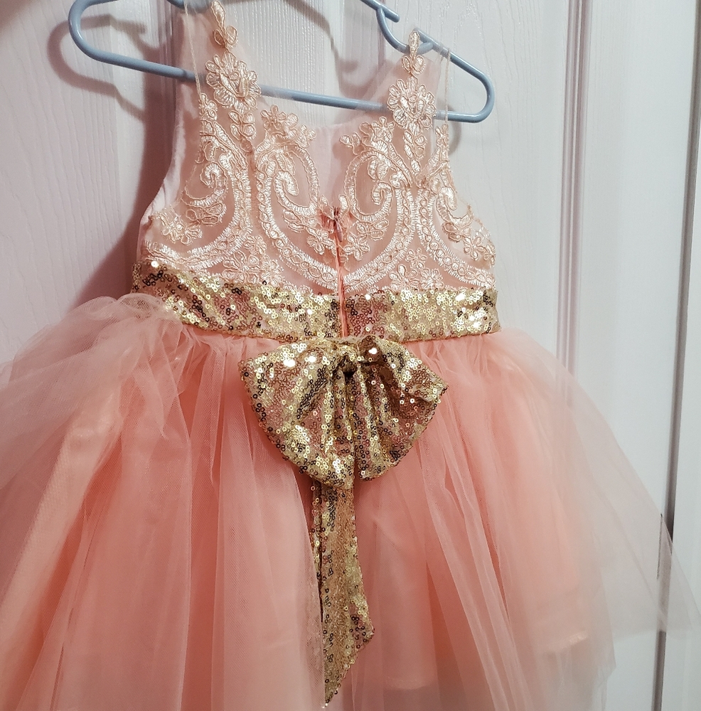 Toddler flower girl/pageant dress